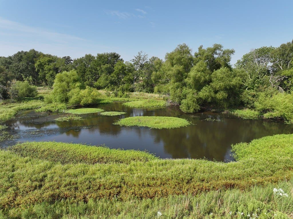 10 acres in Van Zandt County - photo 5