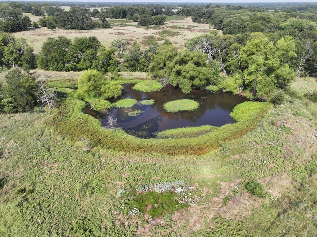 10 acres in Van Zandt County - photo 9