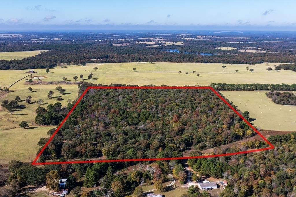 24 acres in Anderson County - photo 4