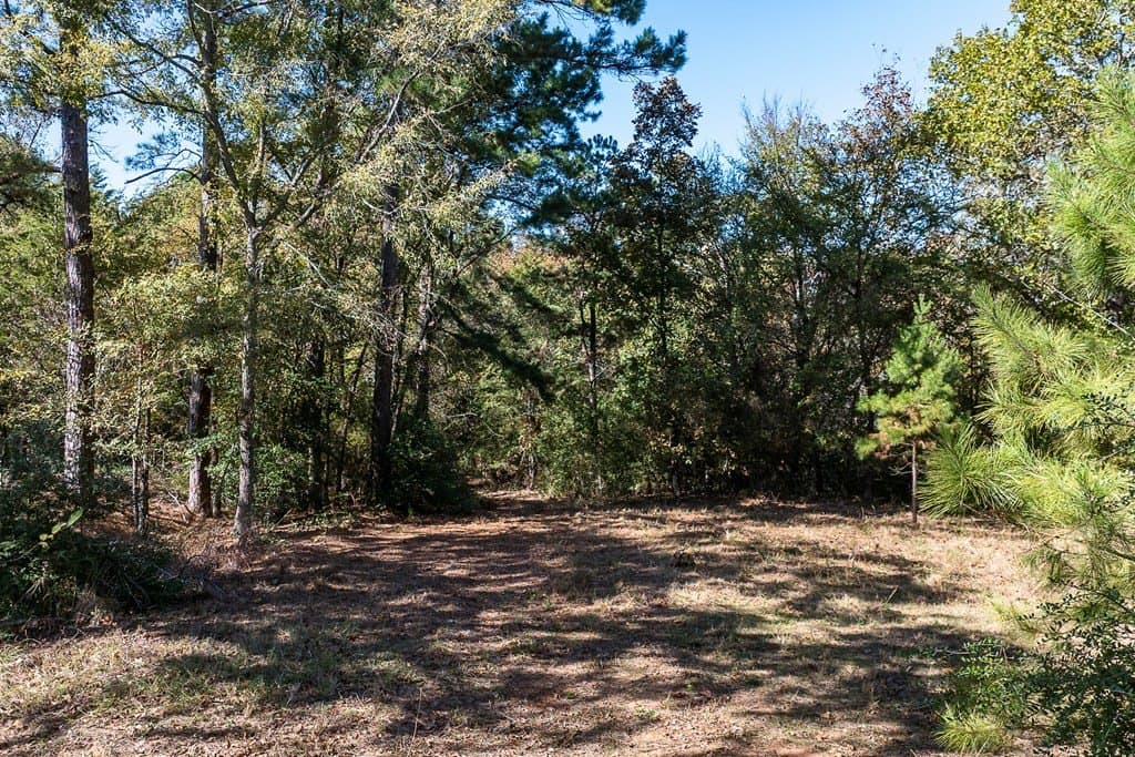 24 acres in Anderson County - photo 5