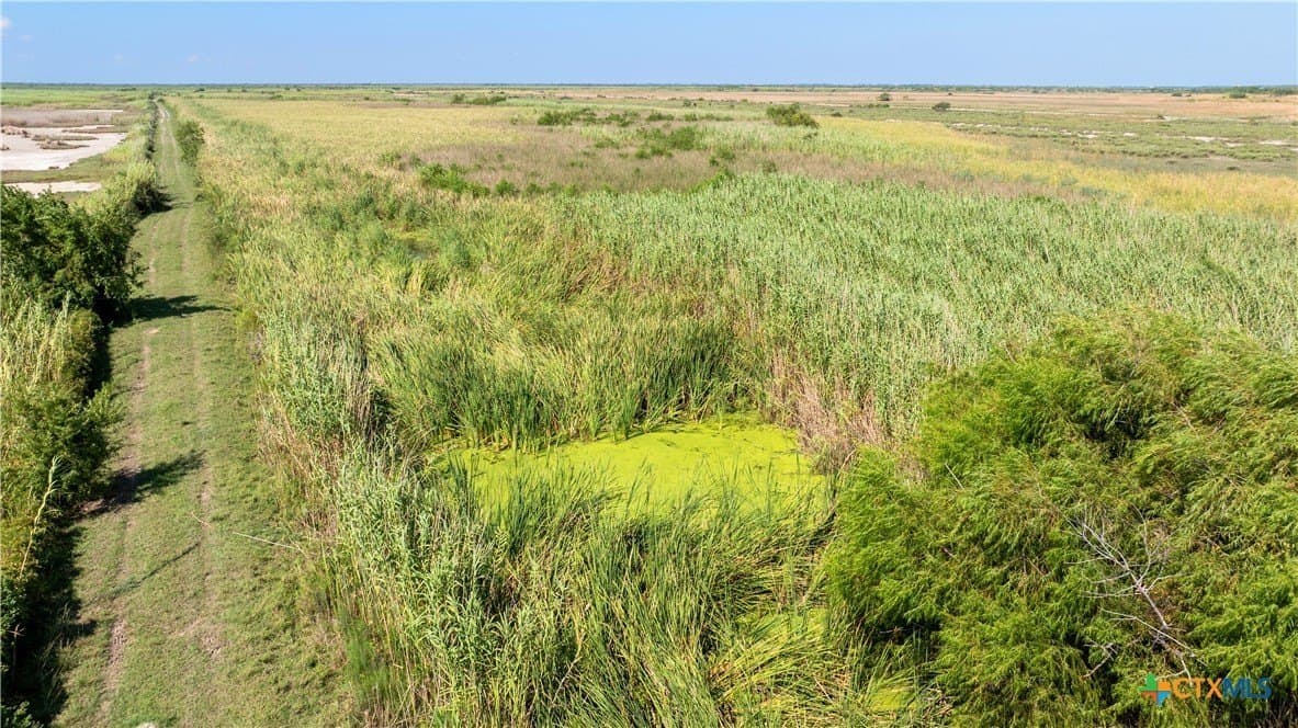199 acres in Calhoun County - photo 34