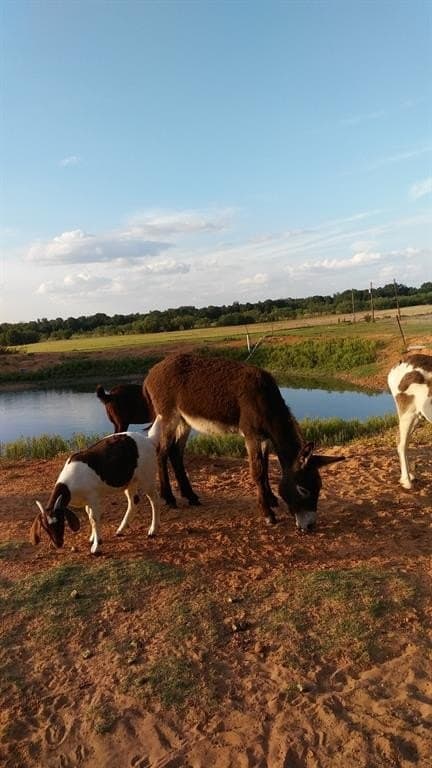 21 acres in Jones County - photo 3