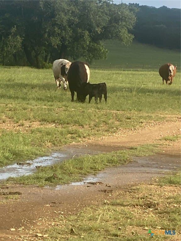 20.04 acres in Burnet County - photo 5