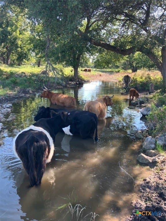 20.04 acres in Burnet County - photo 8