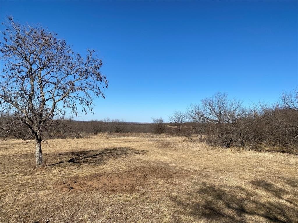 185.44 acres in Montague County - photo 4