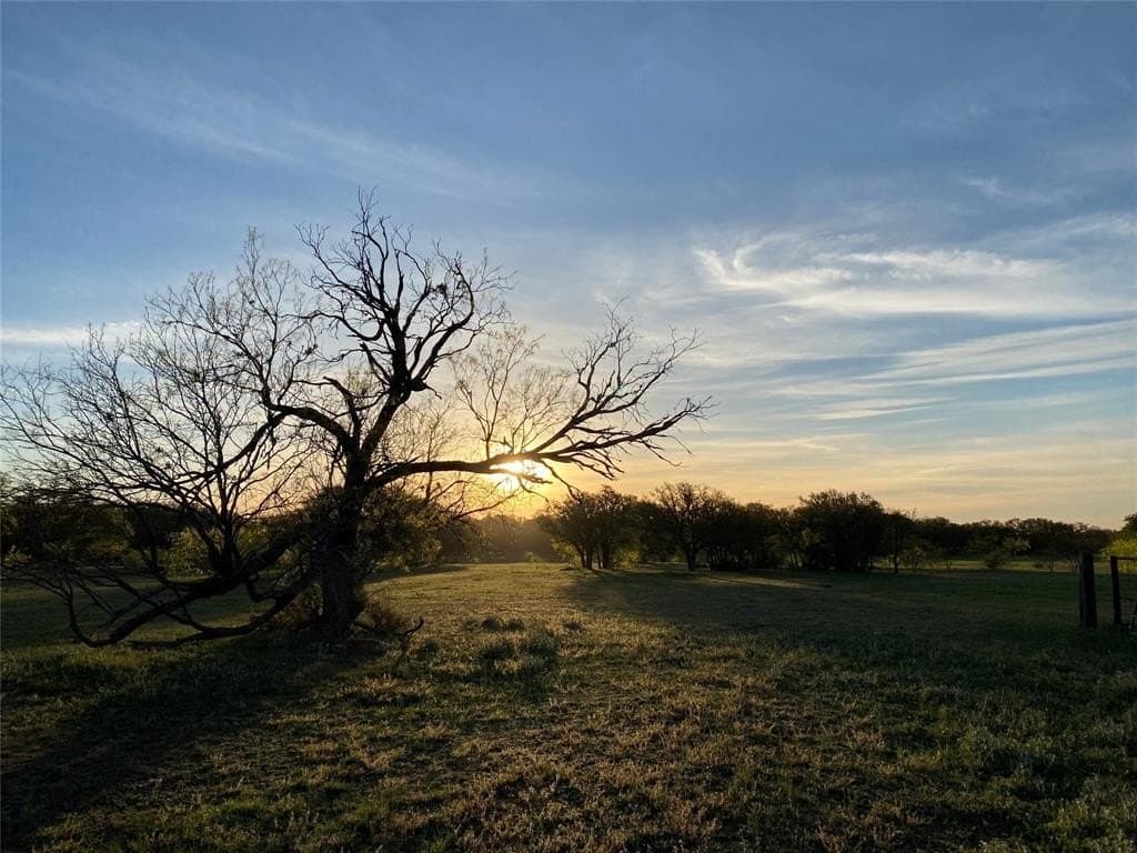 185.44 acres in Montague County - photo 3