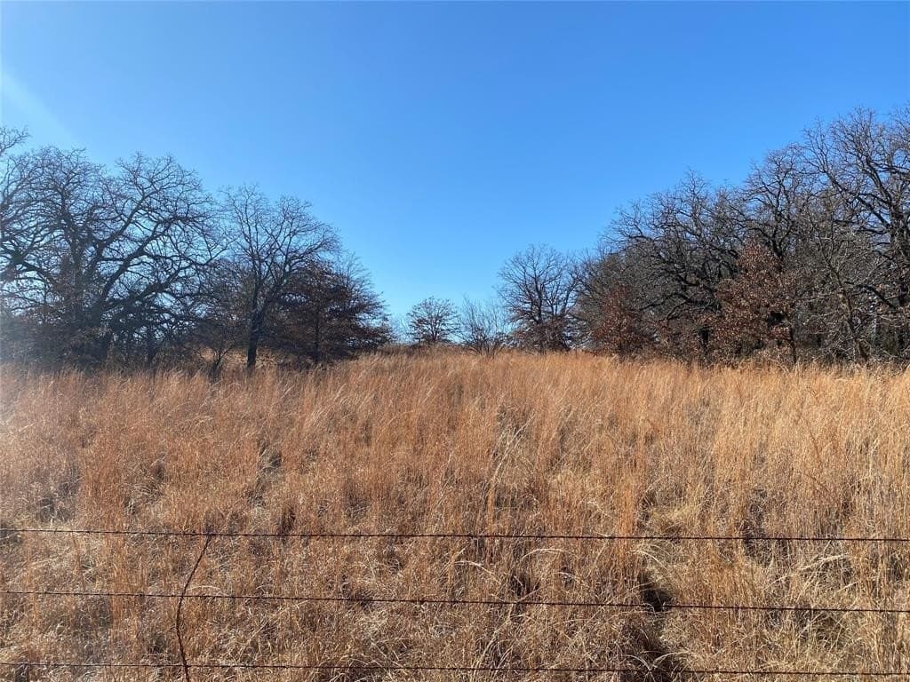 185.44 acres in Montague County - photo 5