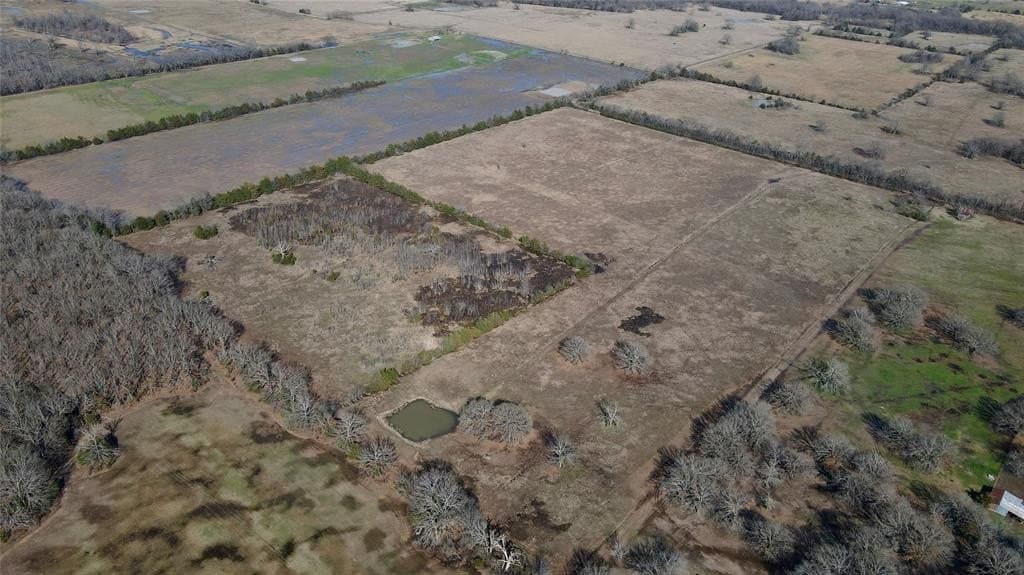 50 acres in Lamar County - photo 6