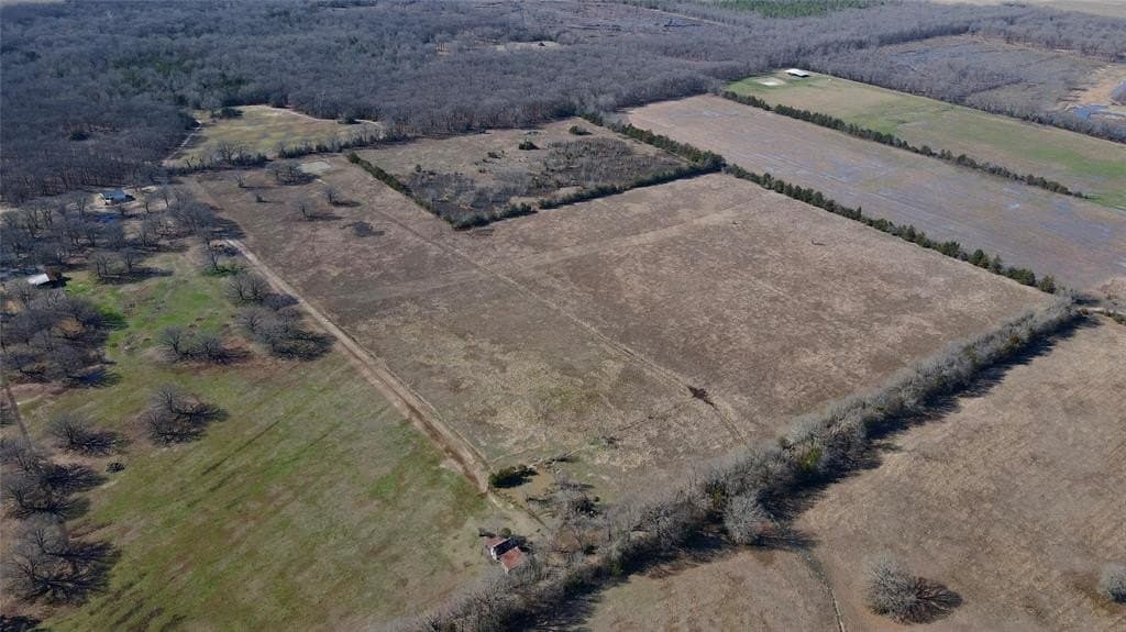 50 acres in Lamar County - photo 9