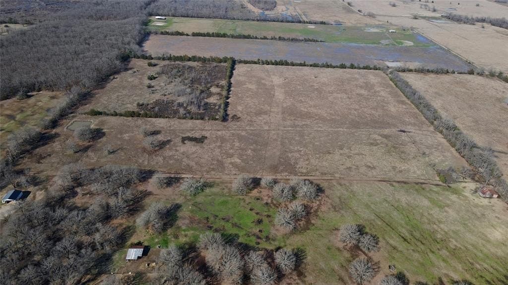 50 acres in Lamar County - photo 8