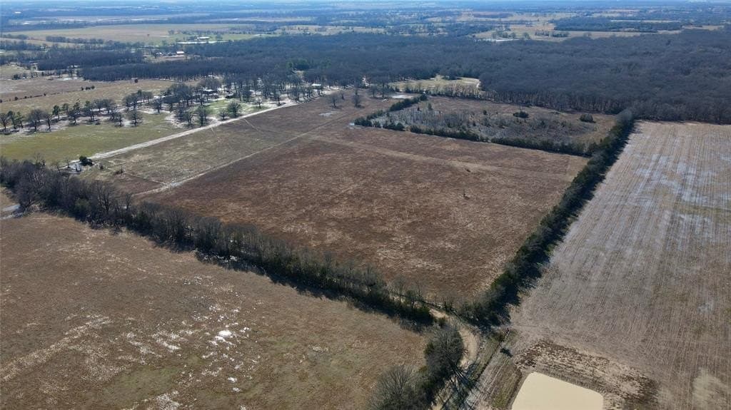 50 acres in Lamar County - photo 2