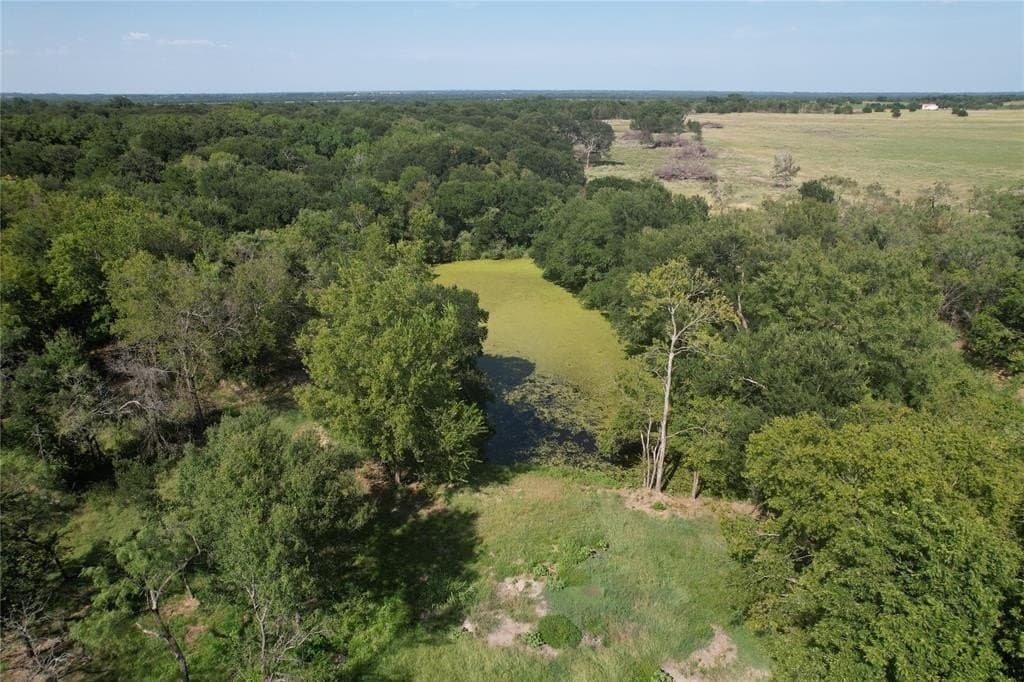 3.6 acres in Navarro County - photo 4