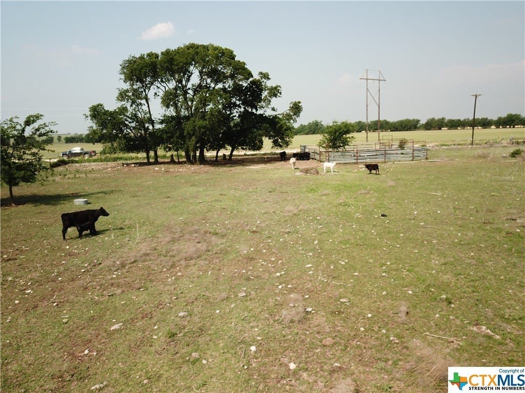 10.1 acres in Coryell County - photo 3