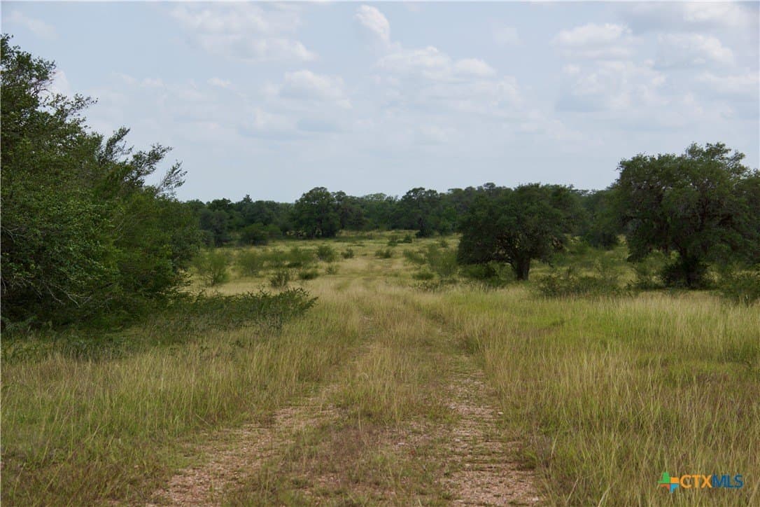 97.2 acres in DeWitt County - photo 35