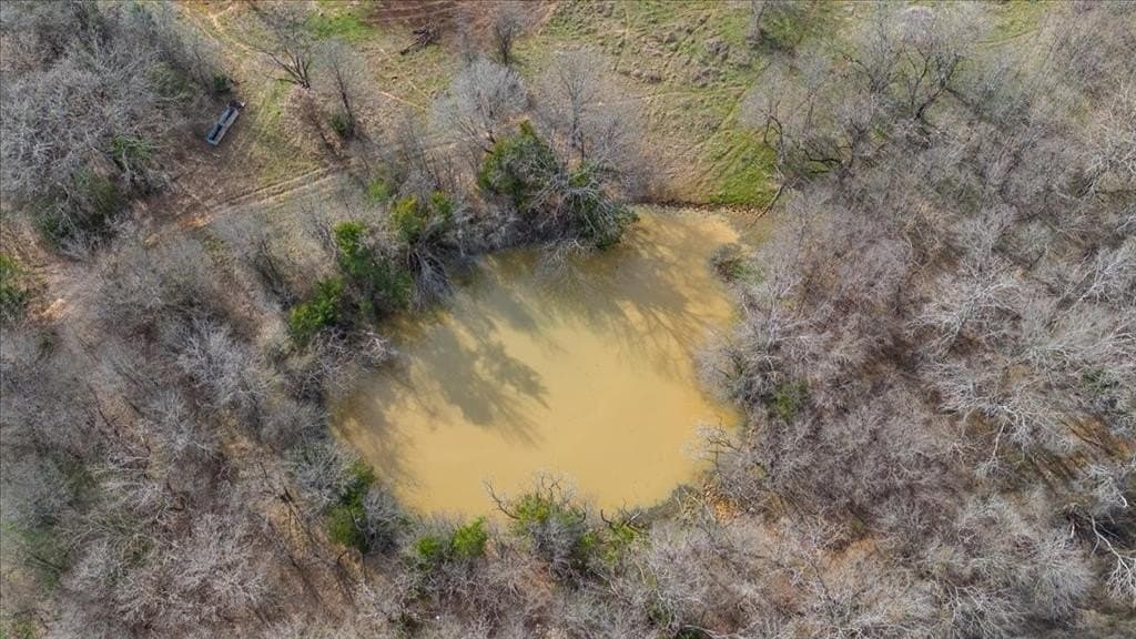 21 acres in Hill County - photo 6