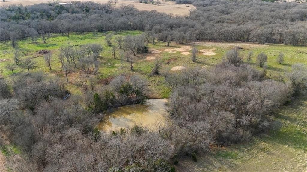 21 acres in Hill County - photo 5