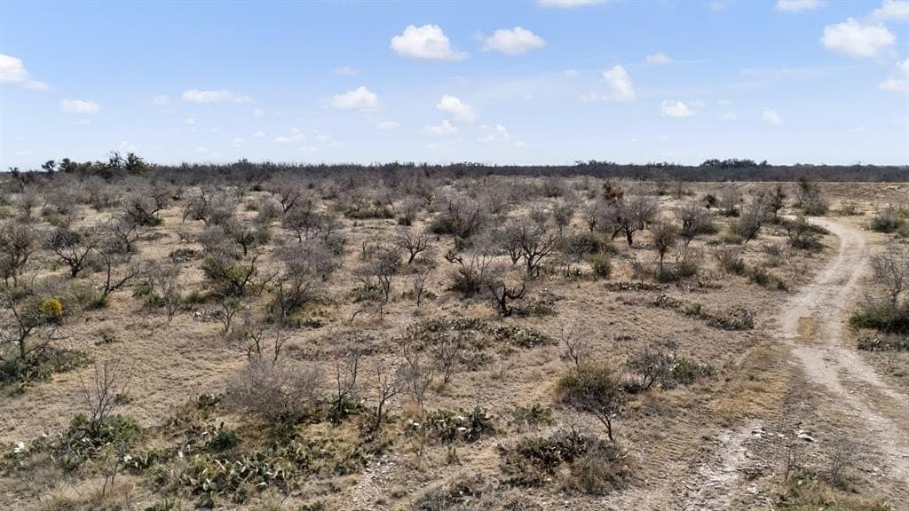 693.5 acres in Concho County - photo 4