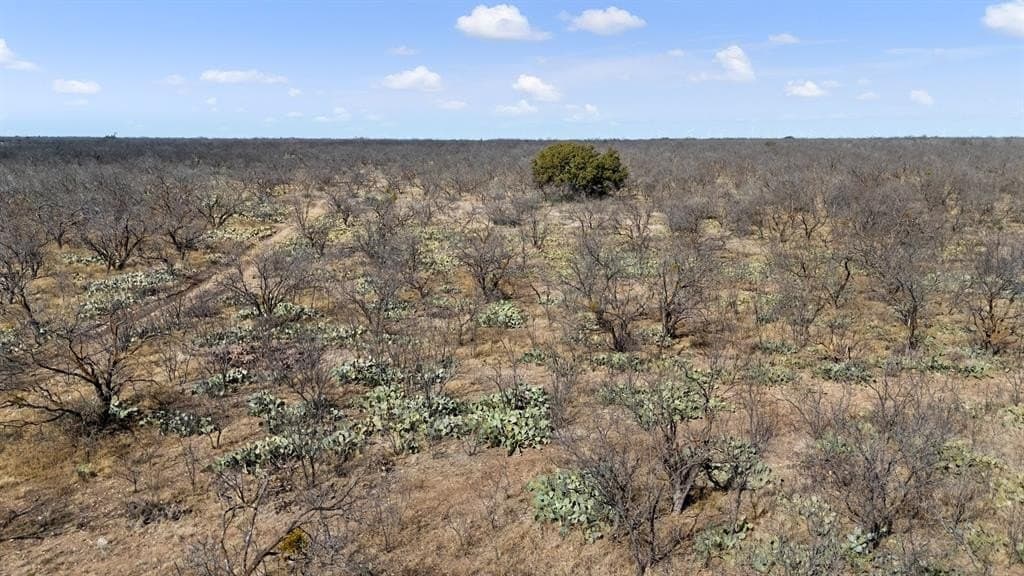 693.5 acres in Concho County - photo 6