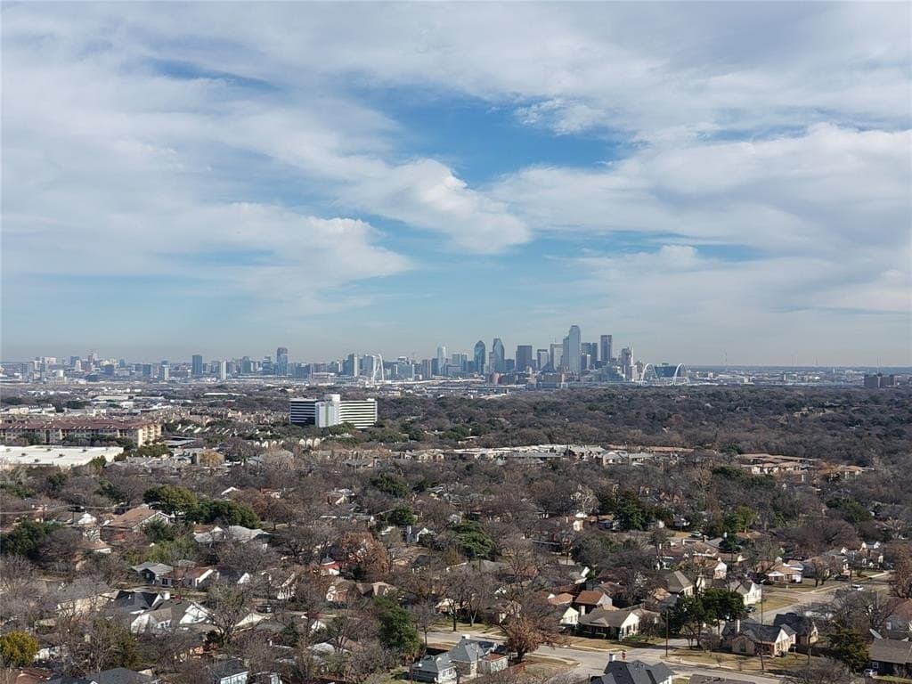 0.16 acres in Dallas County - photo 7