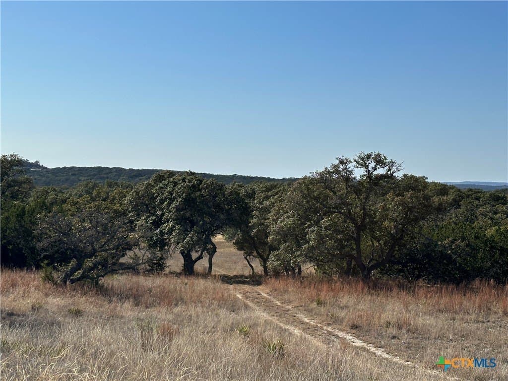 6 acres in Burnet County - photo 7