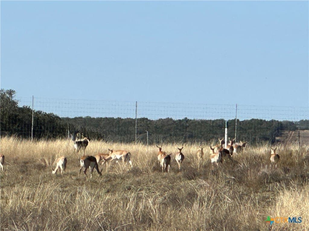 6 acres in Burnet County - photo 18