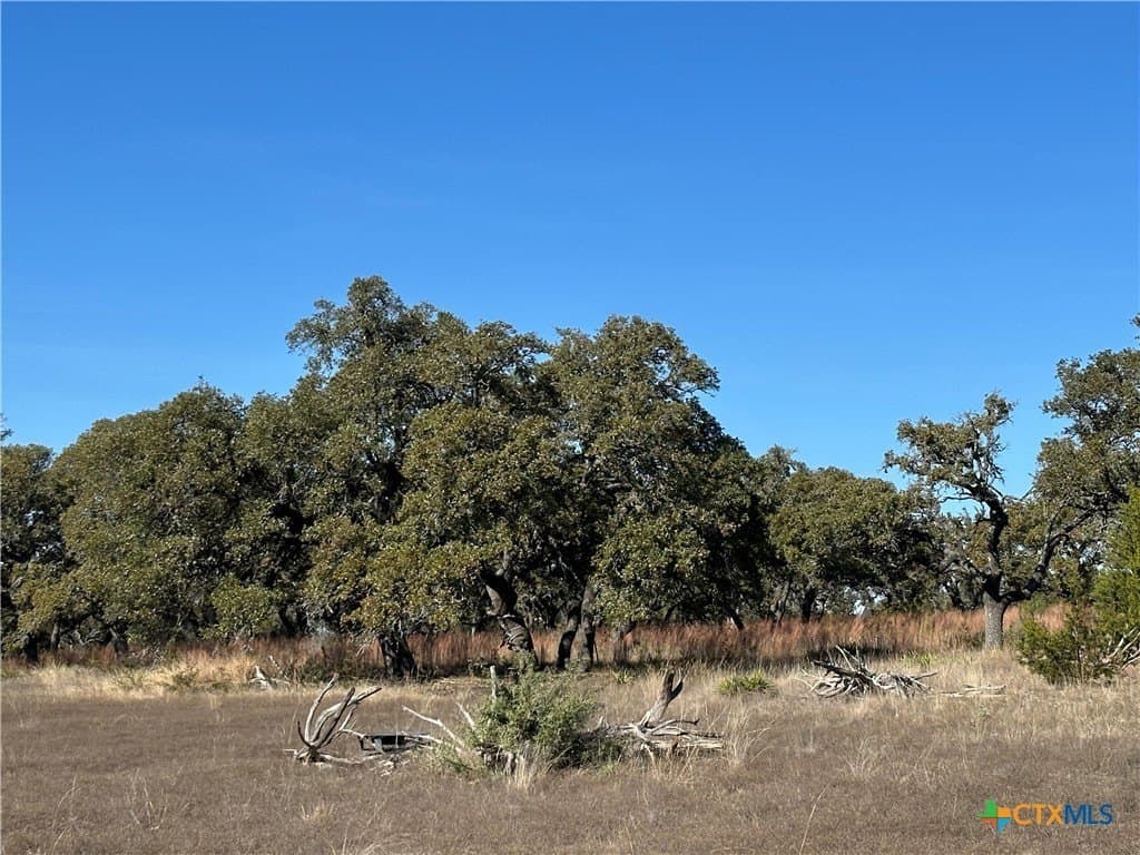 6 acres in Burnet County - photo 16