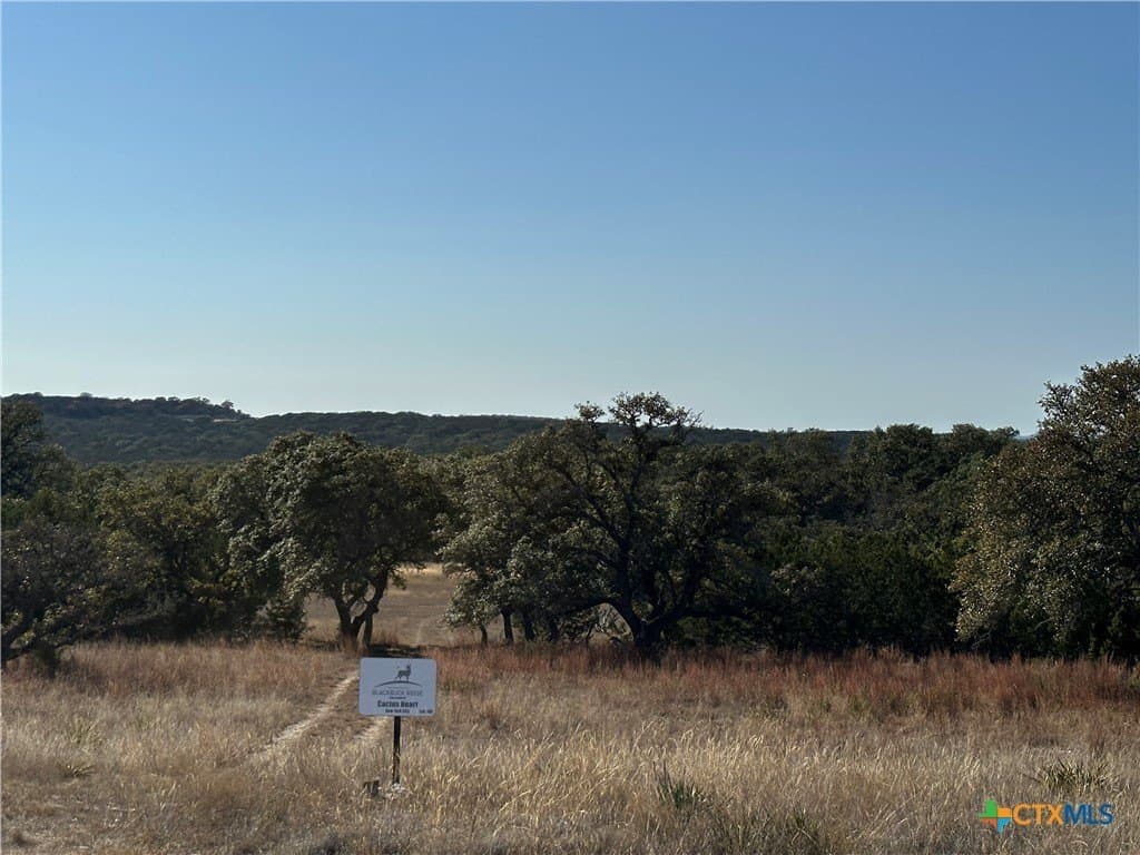 6 acres in Burnet County - photo 25