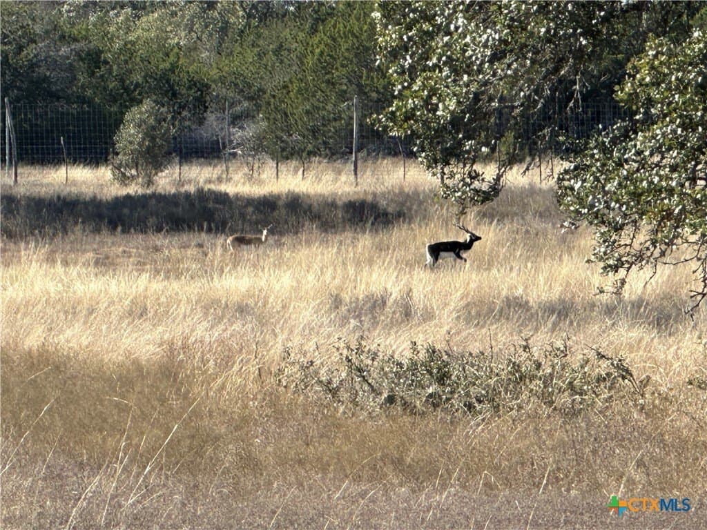 6 acres in Burnet County - photo 15