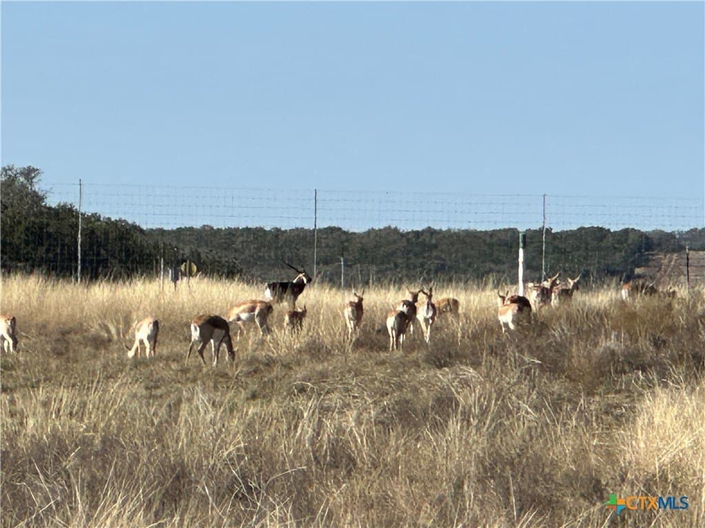 6 acres in Burnet County - photo 19