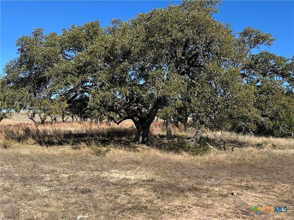 6 acres in Burnet County - photo 24