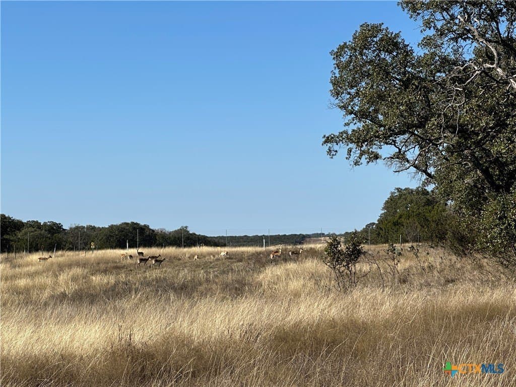 6 acres in Burnet County - photo 17
