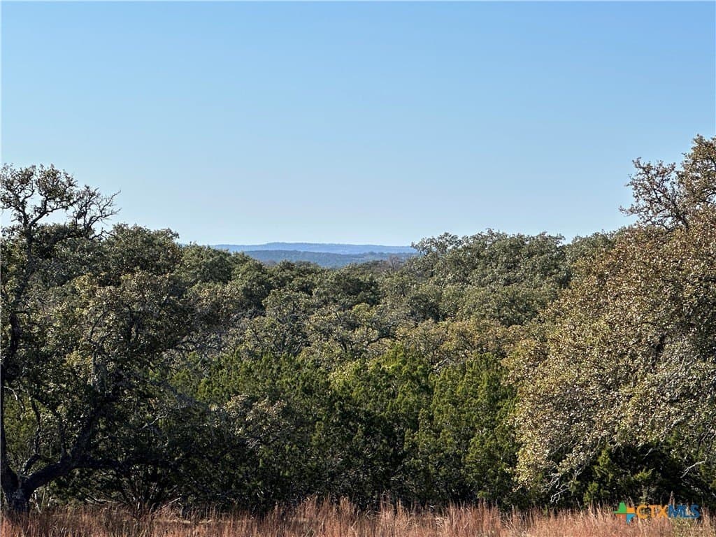 6 acres in Burnet County - photo 6