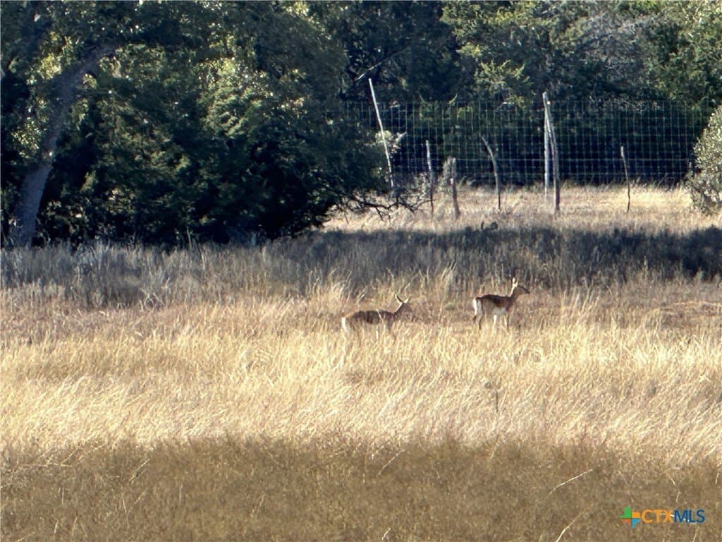 6 acres in Burnet County - photo 14