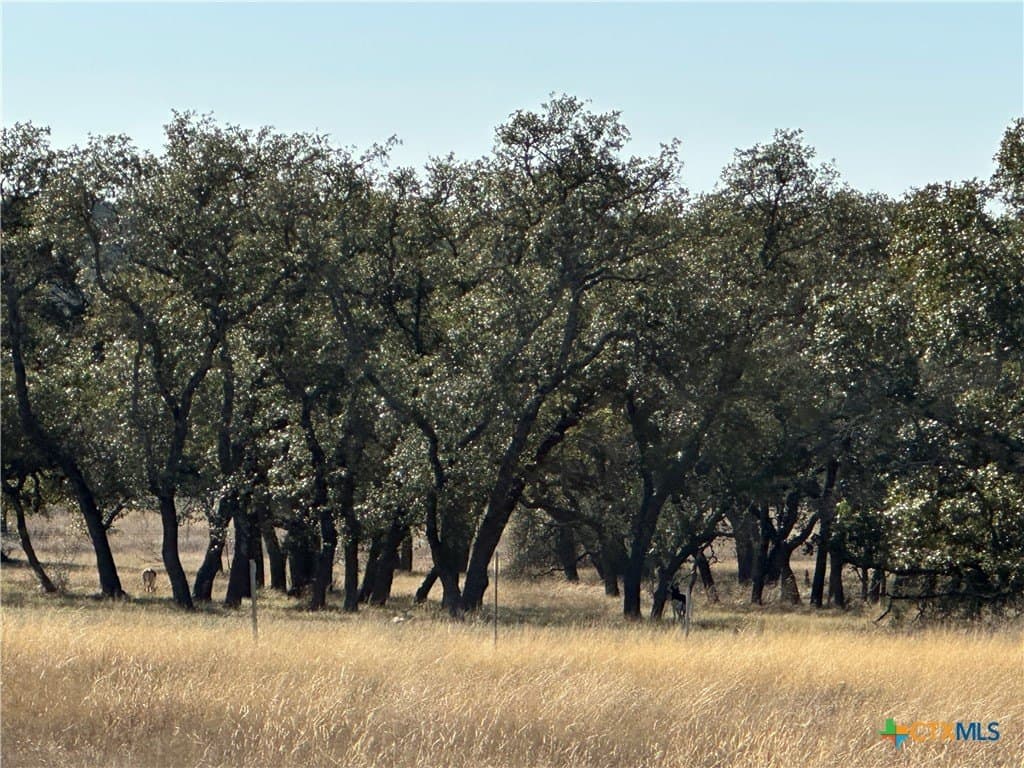 6 acres in Burnet County - photo 13