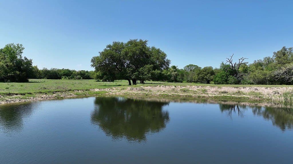 979.3 acres in Lee County - photo 4