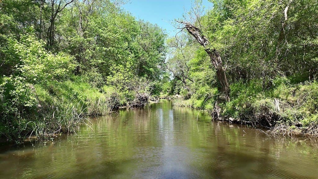 979.3 acres in Lee County - photo 2
