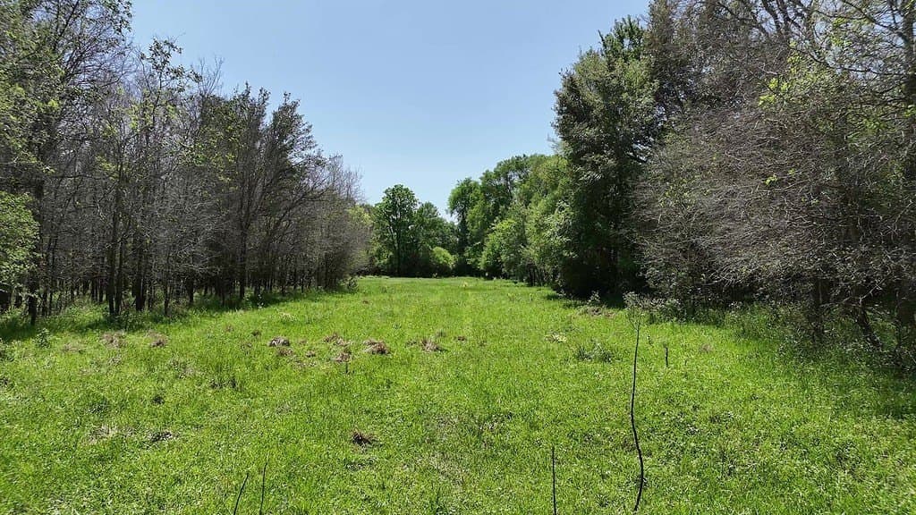 979.3 acres in Lee County - photo 5