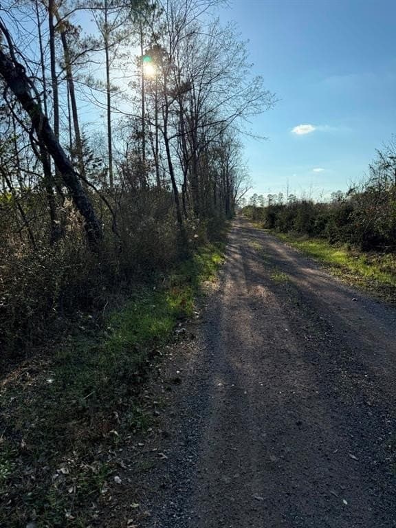 10 acres in Panola County - photo 10