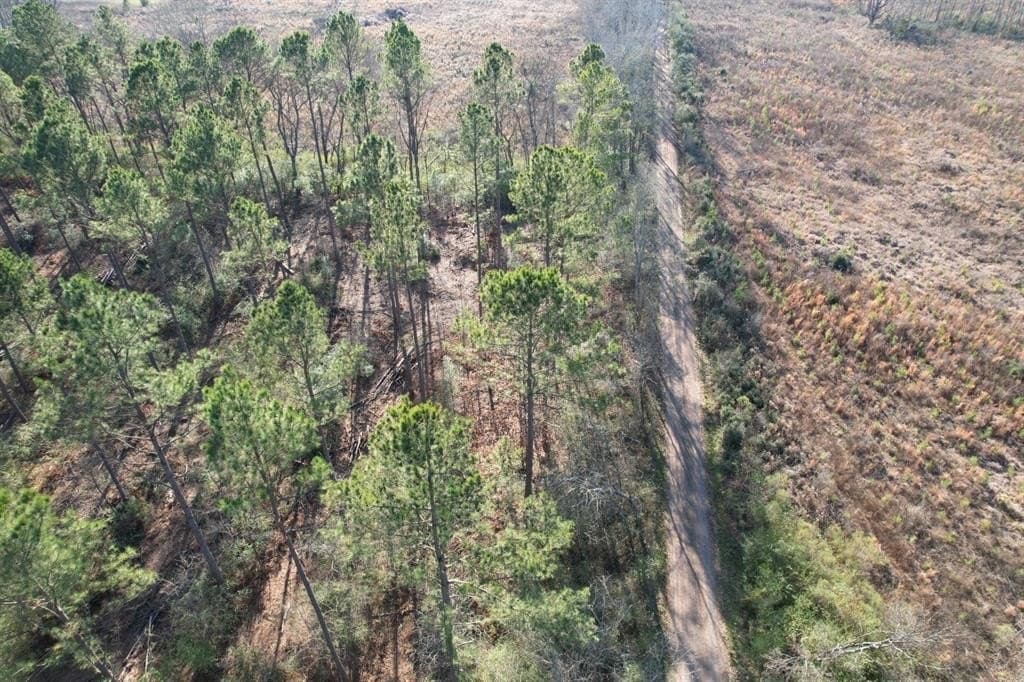 10 acres in Panola County - photo 4