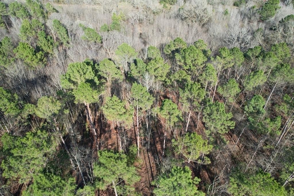 10 acres in Panola County - photo 3