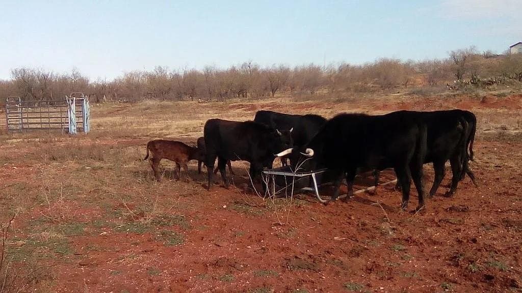 80 acres in Jones County - photo 10