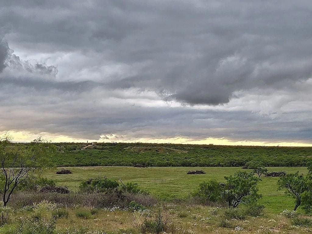 80 acres in Jones County - photo 3