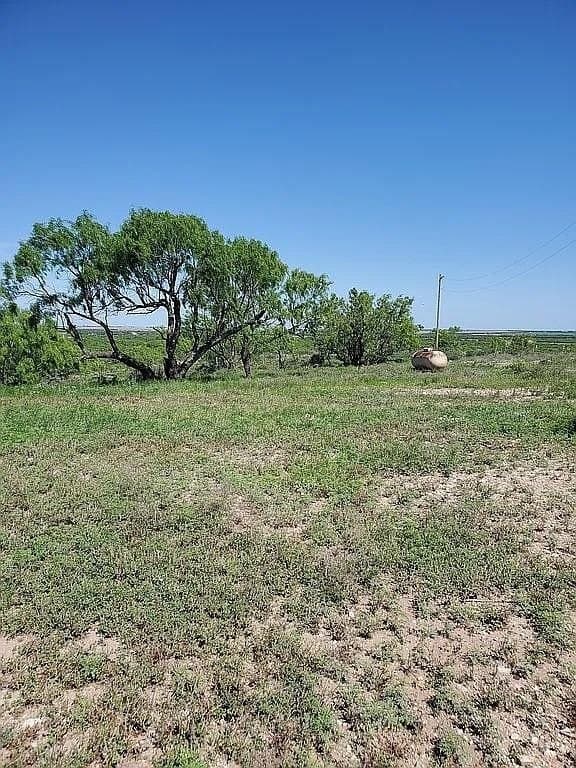80 acres in Jones County - photo 7