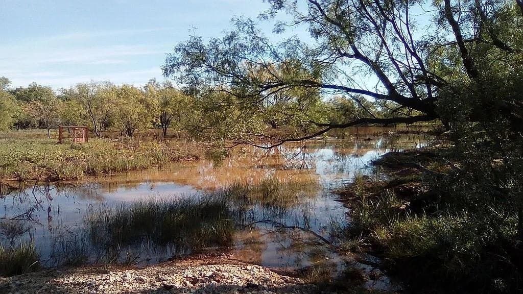 80 acres in Jones County - photo 4