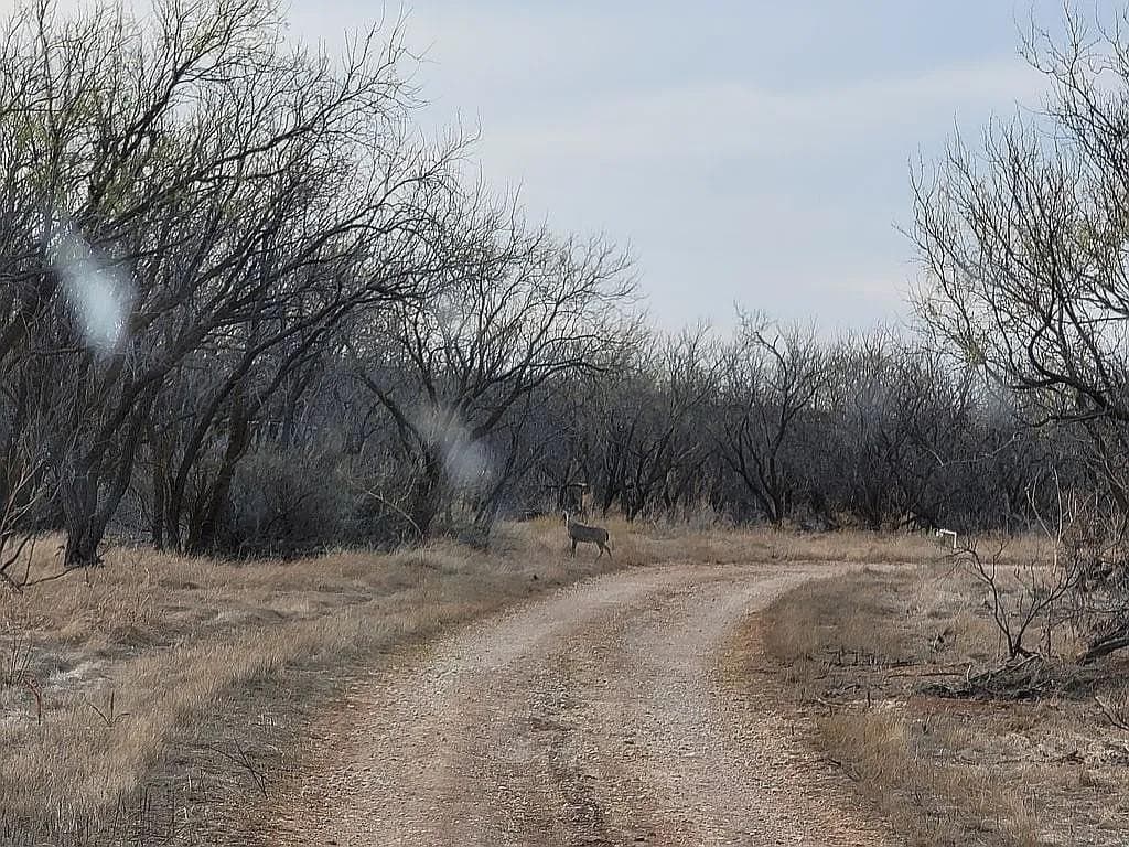 80 acres in Jones County - photo 9