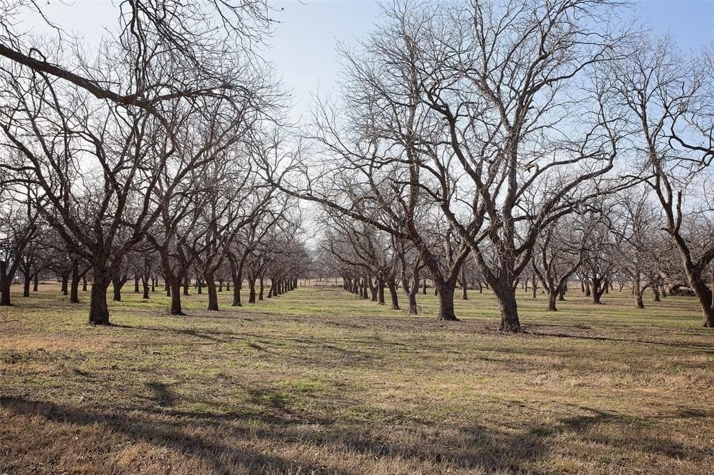 20 acres in Young County - photo 4