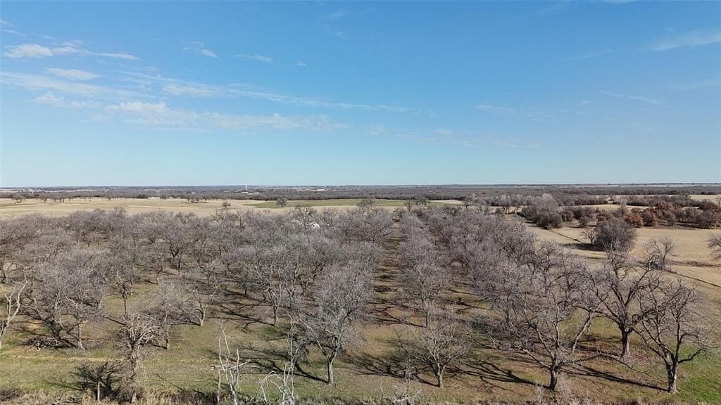 20 acres in Young County - photo 6