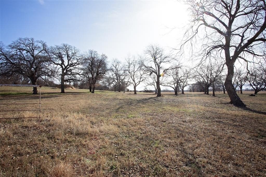 20 acres in Young County - photo 3