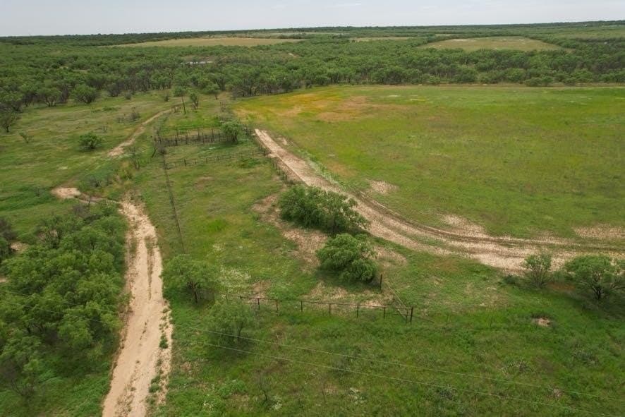 300 acres in Jones County - photo 30