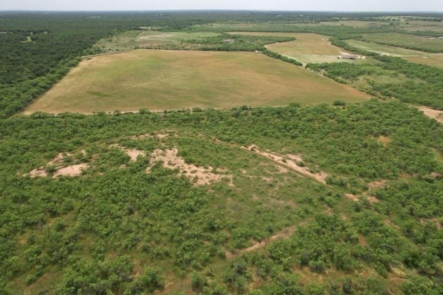 300 acres in Jones County - photo 26